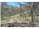 Windeyer NSW 2850