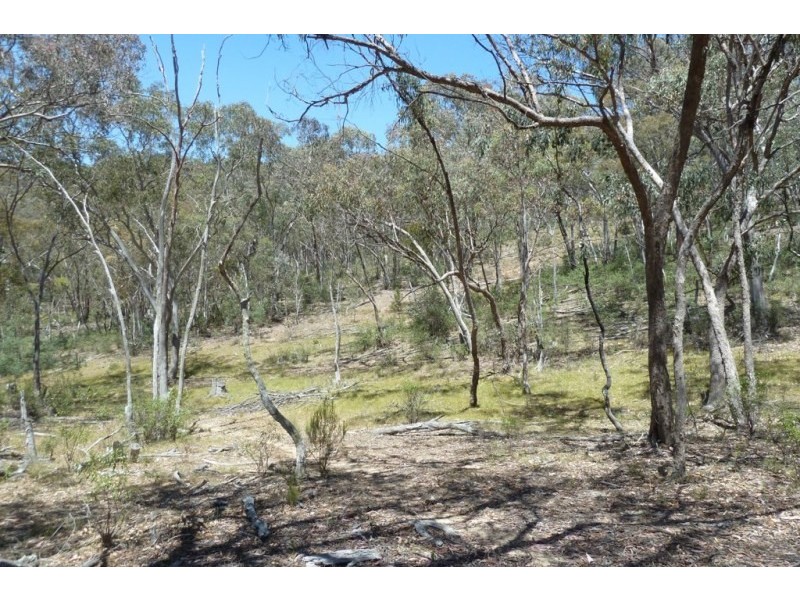 Windeyer NSW 2850