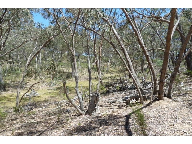 Windeyer NSW 2850