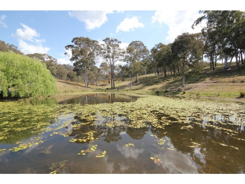 Mudgee NSW 2850