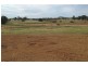 Mudgee NSW 2850