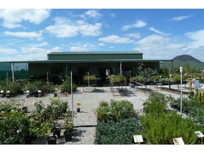 243 Castlereagh Highway, Burrundulla NSW 2850