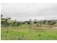 Mudgee NSW 2850