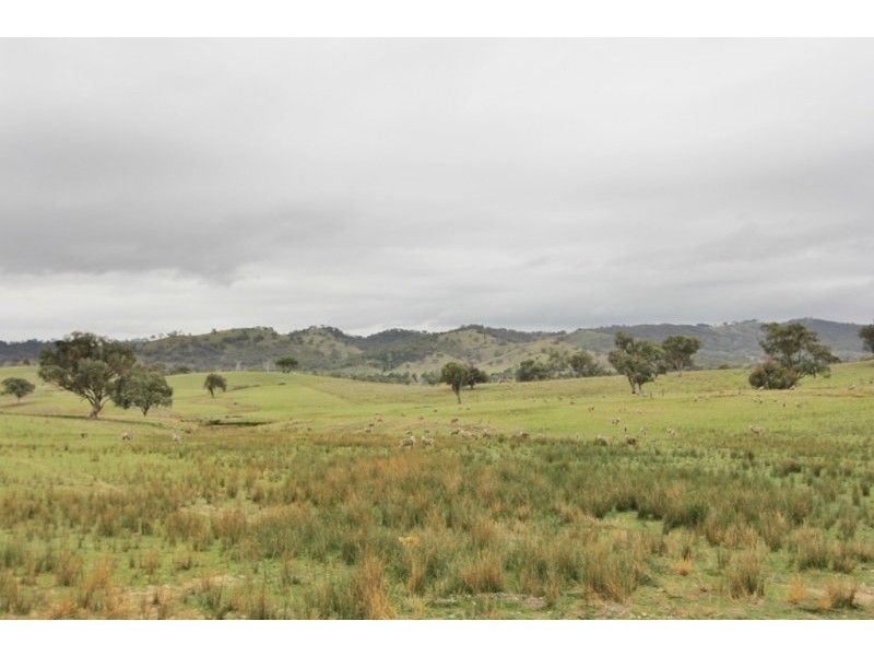 Mudgee NSW 2850