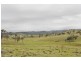 Mudgee NSW 2850