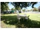 Mudgee NSW 2850