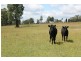 Mudgee NSW 2850