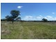 Mudgee NSW 2850
