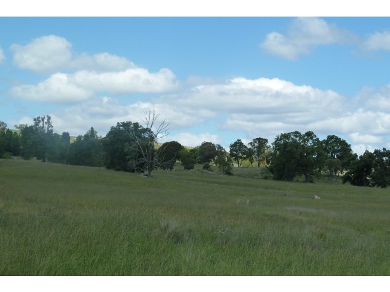 Mudgee NSW 2850