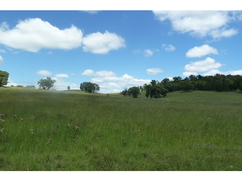 Mudgee NSW 2850