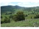 Mudgee NSW 2850