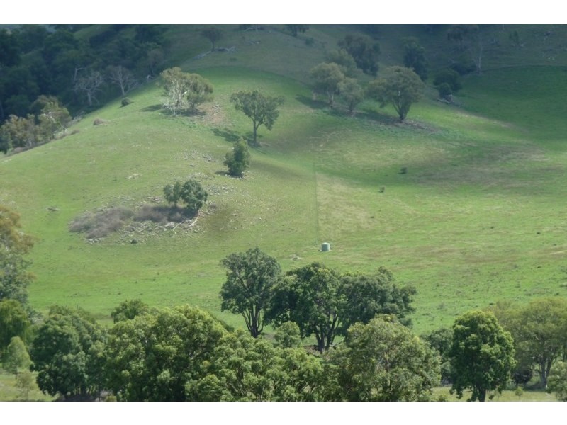 Mudgee NSW 2850