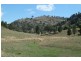Mudgee NSW 2850