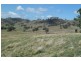 Mudgee NSW 2850