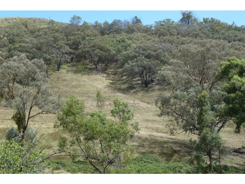 Mudgee NSW 2850