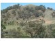 Mudgee NSW 2850