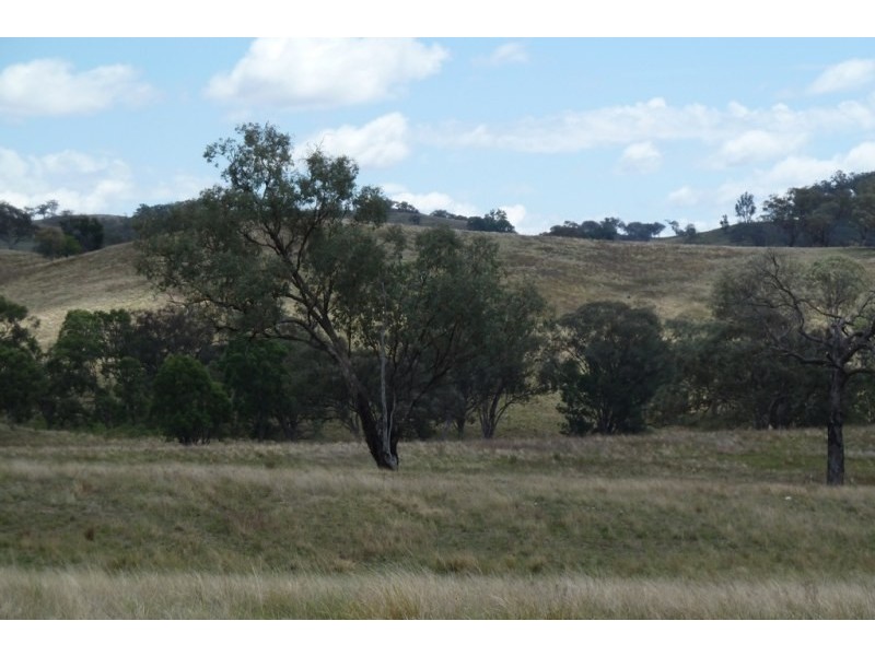 Mudgee NSW 2850