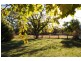 Mudgee NSW 2850