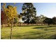 Mudgee NSW 2850