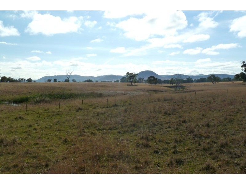 Mudgee NSW 2850