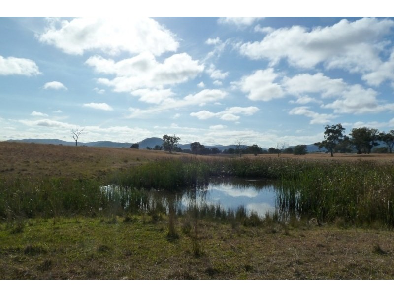 Mudgee NSW 2850