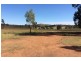 592 Black Springs Road, Mudgee NSW 2850