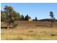 592 Black Springs Road, Mudgee NSW 2850