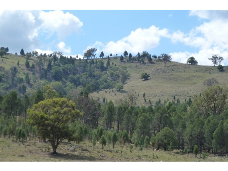 Mudgee NSW 2850