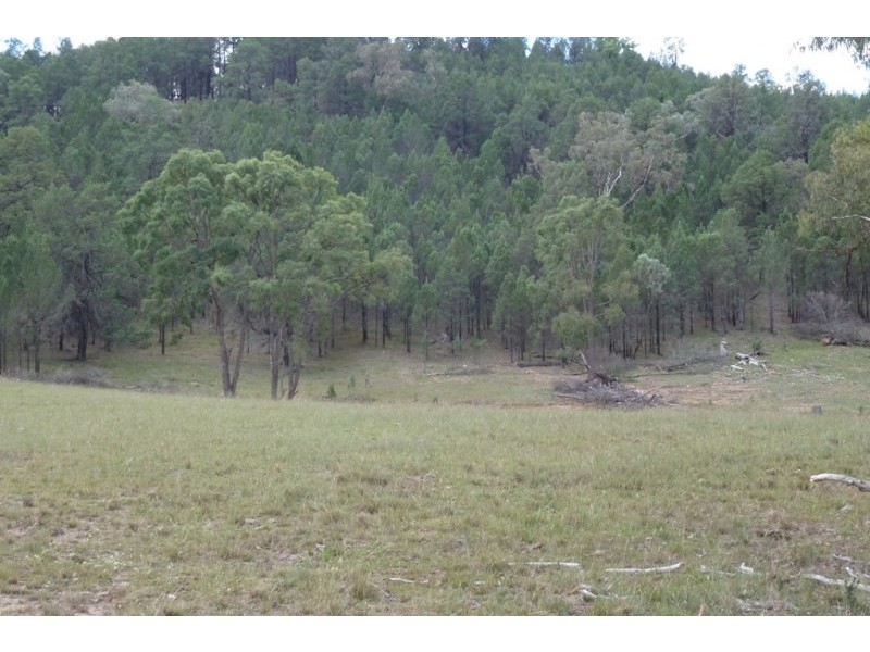 Mudgee NSW 2850