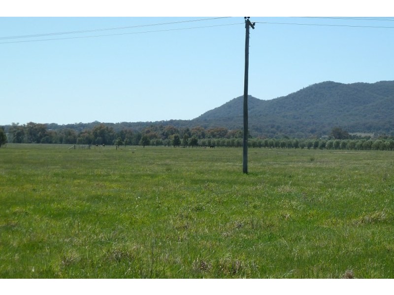 Mudgee NSW 2850