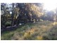 Mudgee NSW 2850