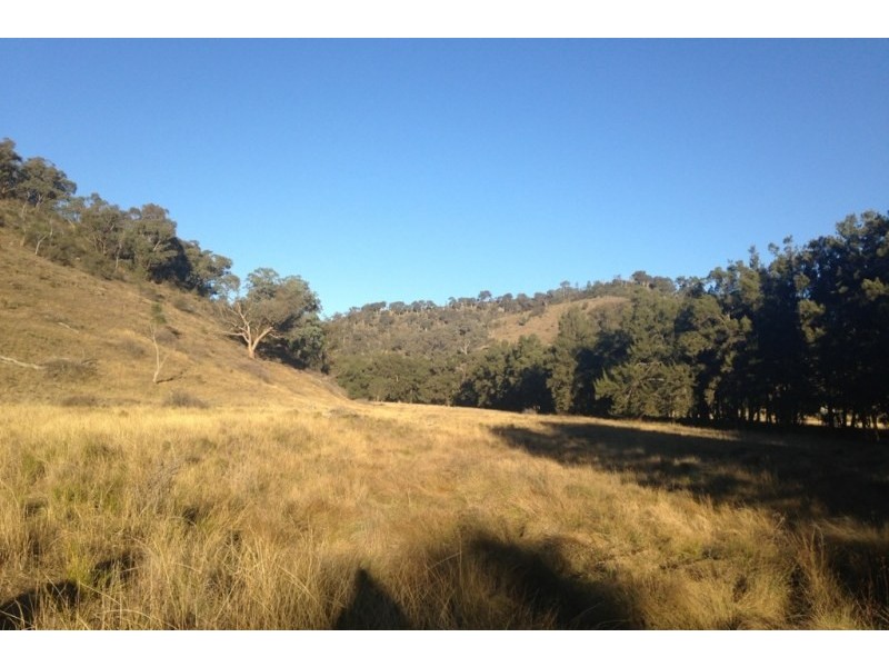 Mudgee NSW 2850