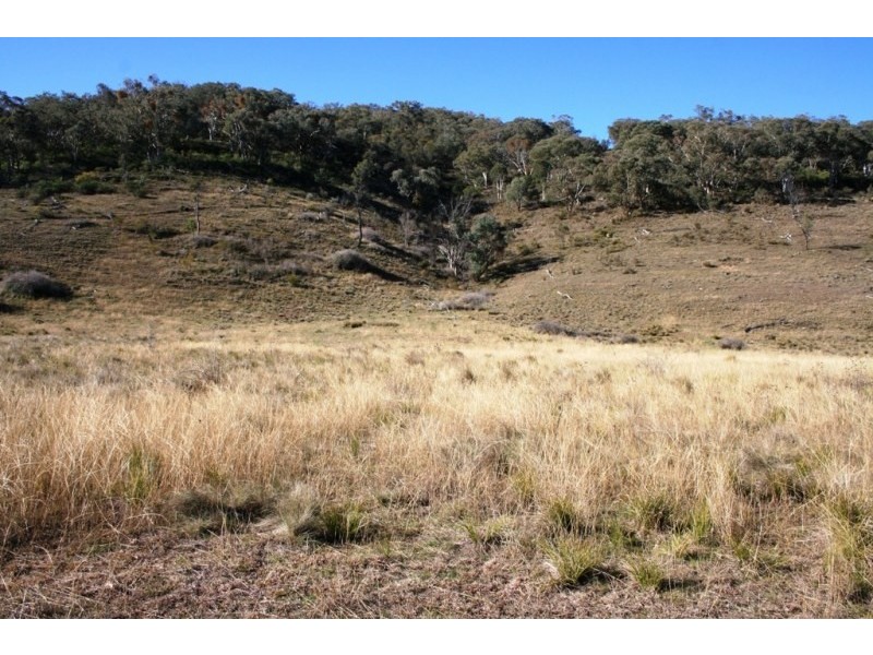 Mudgee NSW 2850