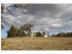 Mudgee NSW 2850