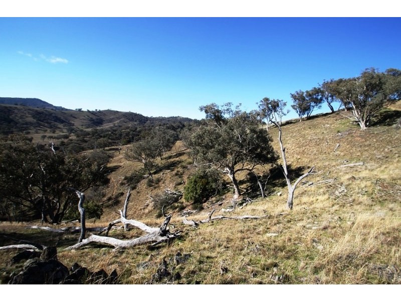 442 Grattai Creek Road, Mudgee NSW 2850