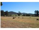 Mudgee NSW 2850