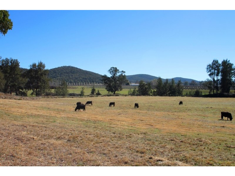 Mudgee NSW 2850
