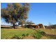 Mudgee NSW 2850