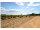 Mudgee NSW 2850