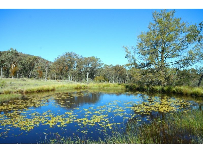 Mudgee NSW 2850