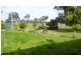 2508 Ulan Road, Mudgee NSW 2850