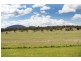 3301 Lue Road, Mudgee NSW 2850