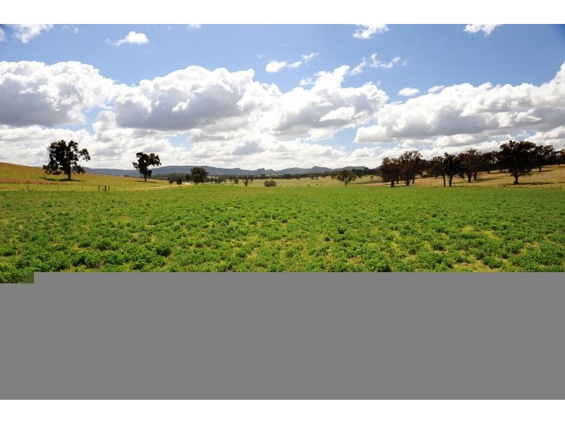 3301 Lue Road, Mudgee NSW 2850