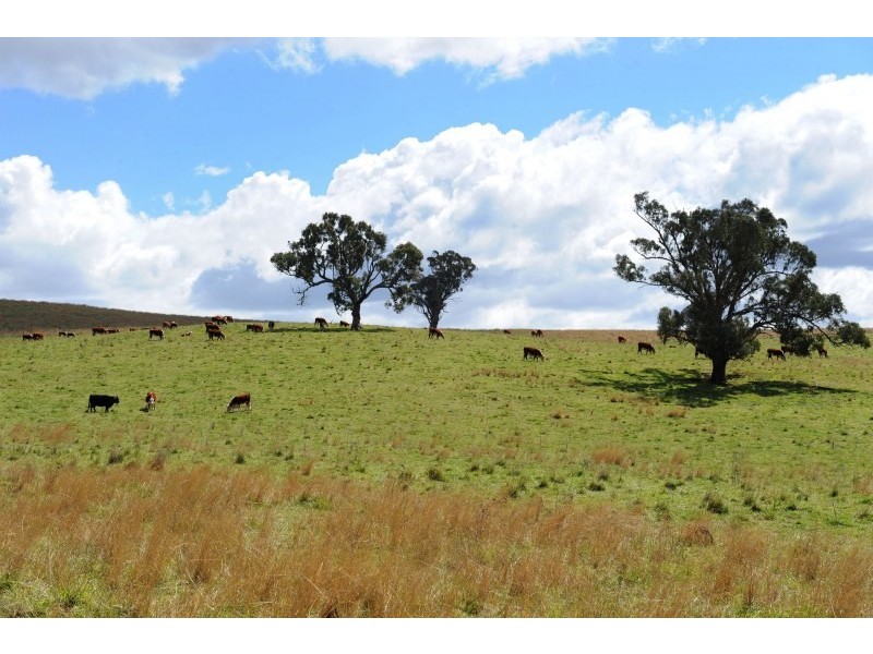 3301 Lue Road, Mudgee NSW 2850