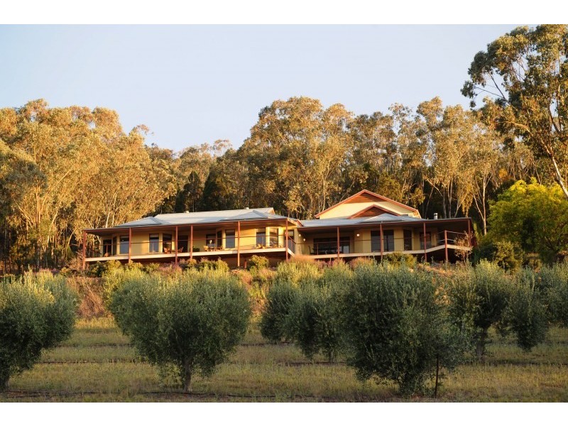 Tierney Lane, Mudgee NSW 2850