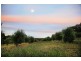 Tierney Lane, Mudgee NSW 2850