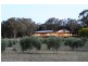 Tierney Lane, Mudgee NSW 2850