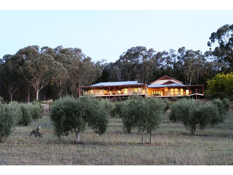 Tierney Lane, Mudgee NSW 2850