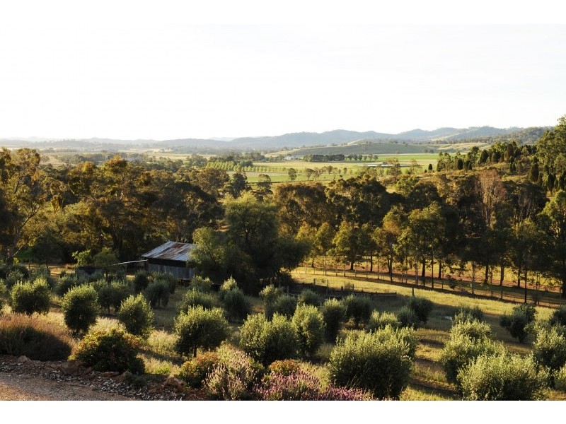 Tierney Lane, Mudgee NSW 2850