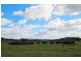 Lot 2,  Wollar Road, Mudgee NSW 2850